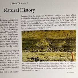 Listing 5 of 20 for The History of Mt Eden The District and its People by: Helen Laurenson