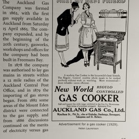 Listing 14 of 20 for The History of Mt Eden The District and its People by: Helen Laurenson