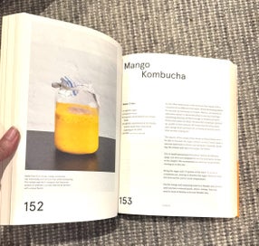 Listing 4 of 4 for The nomad guide to fermentation