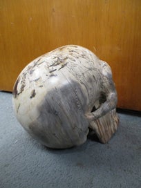 Listing 5 of 8 for SH 1855 - Large Hand Carved Wooden Skull - carved bone teeth