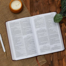 Listing 4 of 7 for KJV, Gift and Award Bible, Leather-Look, Green, Red Letter Edition