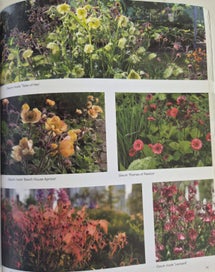 Listing 4 of 4 for Planting the Natural Garden