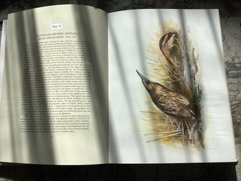 Listing 4 of 12 for The Unpublished New Zealand Bird Paintings, George Lodge 1st ed