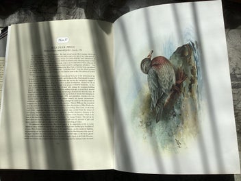 Listing 9 of 12 for The Unpublished New Zealand Bird Paintings, George Lodge 1st ed