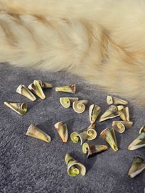 Listing 3 of 10 for VINTAGE BEADS BULK LOT **RARE ** Genuine Vintage Beads