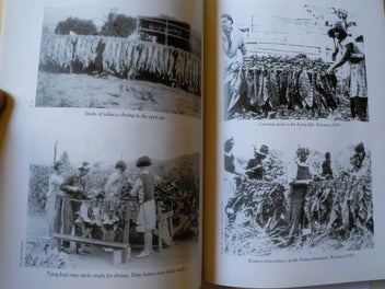 Listing 5 of 7 for "The Golden Harvest": A History of Tobacco Growing in N.Z. by Patricia O'Shea