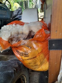 Listing 2 of 3 for Wool fleece- South suffolk