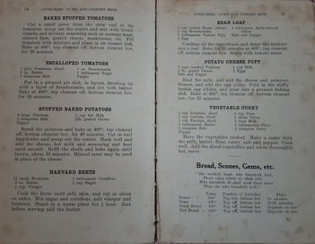 Listing 17 of 20 for 2 VINTAGE NZ CKBKS CHAMPION GAS COOKERS NZ CKBK + CHCH MED CKBK *75 +YRS OLD