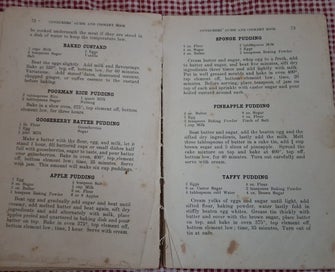 Listing 19 of 20 for 2 VINTAGE NZ CKBKS CHAMPION GAS COOKERS NZ CKBK + CHCH MED CKBK *75 +YRS OLD