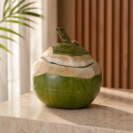 Listing 2 of 7 for Rare JDV Store "The Singapore Coconut" Ceramic Jar