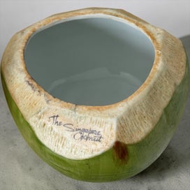 Listing 5 of 7 for Rare JDV Store "The Singapore Coconut" Ceramic Jar