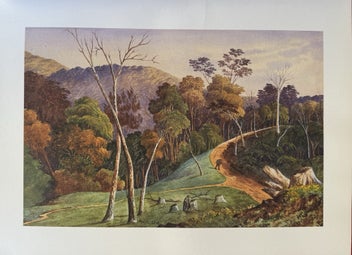 Listing 7 of 7 for Stunning NZ Landscapes by JC Hoyte, curated by Peter Stupples & Roger Collins