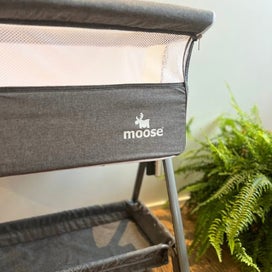 Listing 5 of 11 for Co-sleeper Crib - Eden