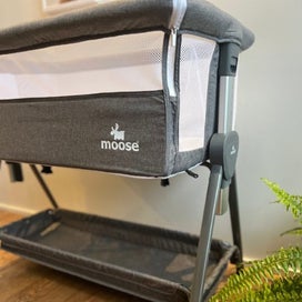 Listing 10 of 11 for Co-sleeper Crib - Eden