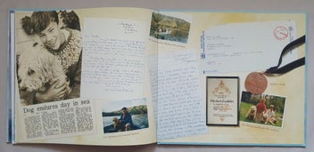 Listing 10 of 10 for Robyn Belton: HERBERT, The Brave Sea Dog (NZ true story, hbk)