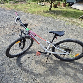 Listing 2 of 3 for Treck 24 inch Girls Mountain bike r