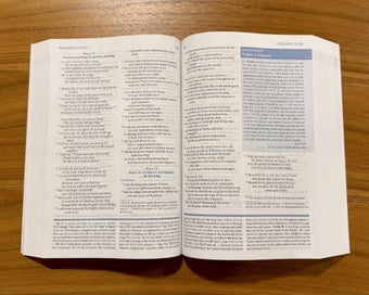 Listing 2 of 2 for The SBL Study Bible
