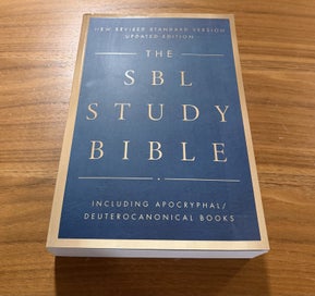 Listing 1 of 2 for The SBL Study Bible