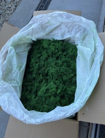 Listing 2 of 3 for Preserved Reindeer Moss