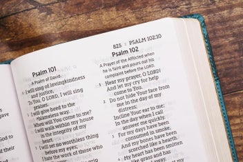 Listing 3 of 7 for NASB, Personal Size Bible, Large Print, Leathersoft, Teal, Red Letter