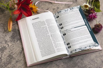 Listing 5 of 9 for Niv, the Busy Mom's Bible, Leathersoft Over Board, Pink, Red Letter, Comfo