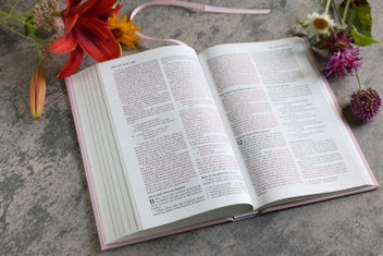 Listing 6 of 9 for Niv, the Busy Mom's Bible, Leathersoft Over Board, Pink, Red Letter, Comfo