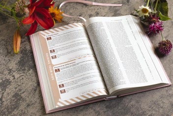 Listing 7 of 9 for Niv, the Busy Mom's Bible, Leathersoft Over Board, Pink, Red Letter, Comfo