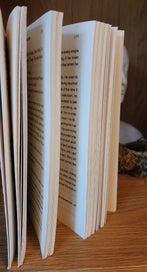 Listing 3 of 3 for THE GOOD SISTER by SALLY HEPWORTH - PAPERBACK, EXCELLENT CONDITION