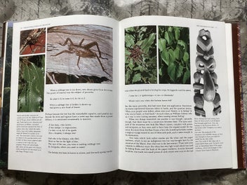 Listing 6 of 14 for Bulk Maori Books crazy $1 reserve