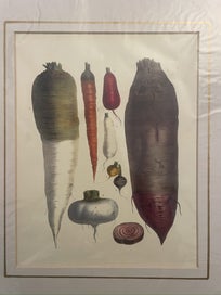 Listing 5 of 7 for Belle Maison Botanical Lithograph Prints