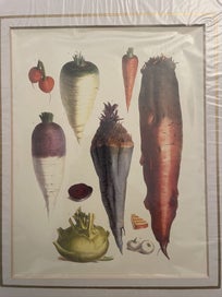 Listing 2 of 7 for Belle Maison Botanical Lithograph Prints