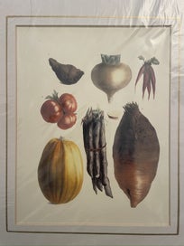 Listing 3 of 7 for Belle Maison Botanical Lithograph Prints