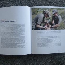 Listing 8 of 14 for Takahe: Bird of Dreams by Alison Ballance. Hardback Dust Jacket 2023
