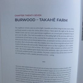 Listing 13 of 14 for Takahe: Bird of Dreams by Alison Ballance. Hardback Dust Jacket 2023