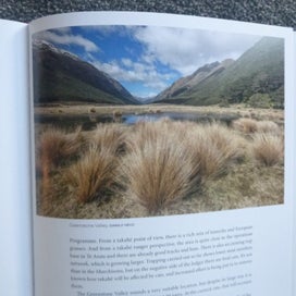 Listing 14 of 14 for Takahe: Bird of Dreams by Alison Ballance. Hardback Dust Jacket 2023
