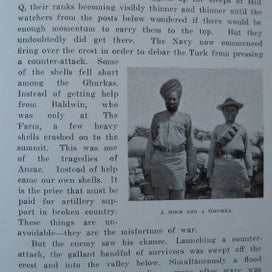Listing 15 of 20 for The New Zealanders at Gallipoli
