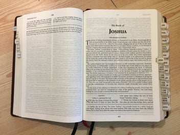Listing 4 of 16 for Henry Morris KJV Study Bible (10 point)