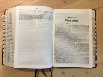 Listing 8 of 16 for Henry Morris KJV Study Bible (10 point)