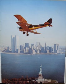 Listing 15 of 19 for THE TIGER MOTH. By Stuart McKay