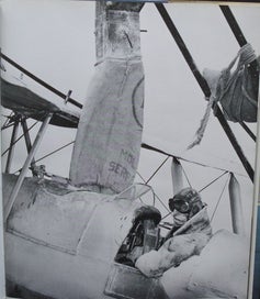 Listing 17 of 19 for THE TIGER MOTH. By Stuart McKay