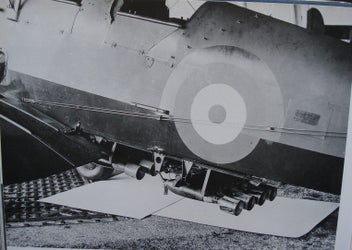 Listing 12 of 19 for THE TIGER MOTH. By Stuart McKay