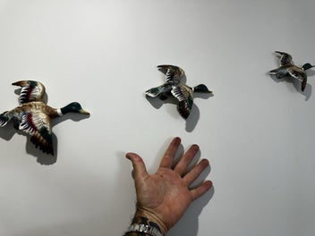 Listing 8 of 8 for Japanese Flying Ducks