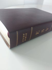 Listing 10 of 15 for ESV Study Bible