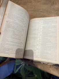 Listing 11 of 15 for Large Antique Victorian Family Bible c.1880s – Illustrated Edition