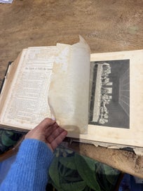 Listing 12 of 15 for Large Antique Victorian Family Bible c.1880s – Illustrated Edition
