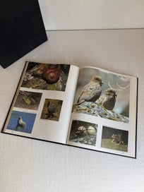 Listing 5 of 7 for Vintage 1976 New Zealand Atlas with Protective Sleeve - Excellent Condition