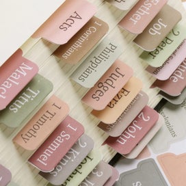 Listing 6 of 6 for Bible Tabs for Study Bible,Bible Book Tabs,Bible Guidance Tabs with Book Ta