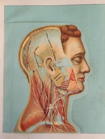 Listing 4 of 5 for Domestic Medical Practice -1943