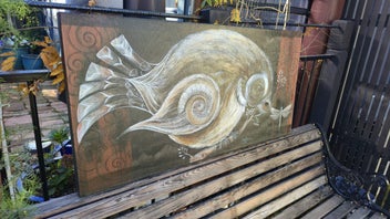 Listing 5 of 9 for Pīwakawaka (Fantail) by Robin Slow