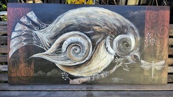 Listing 9 of 9 for Pīwakawaka (Fantail) by Robin Slow